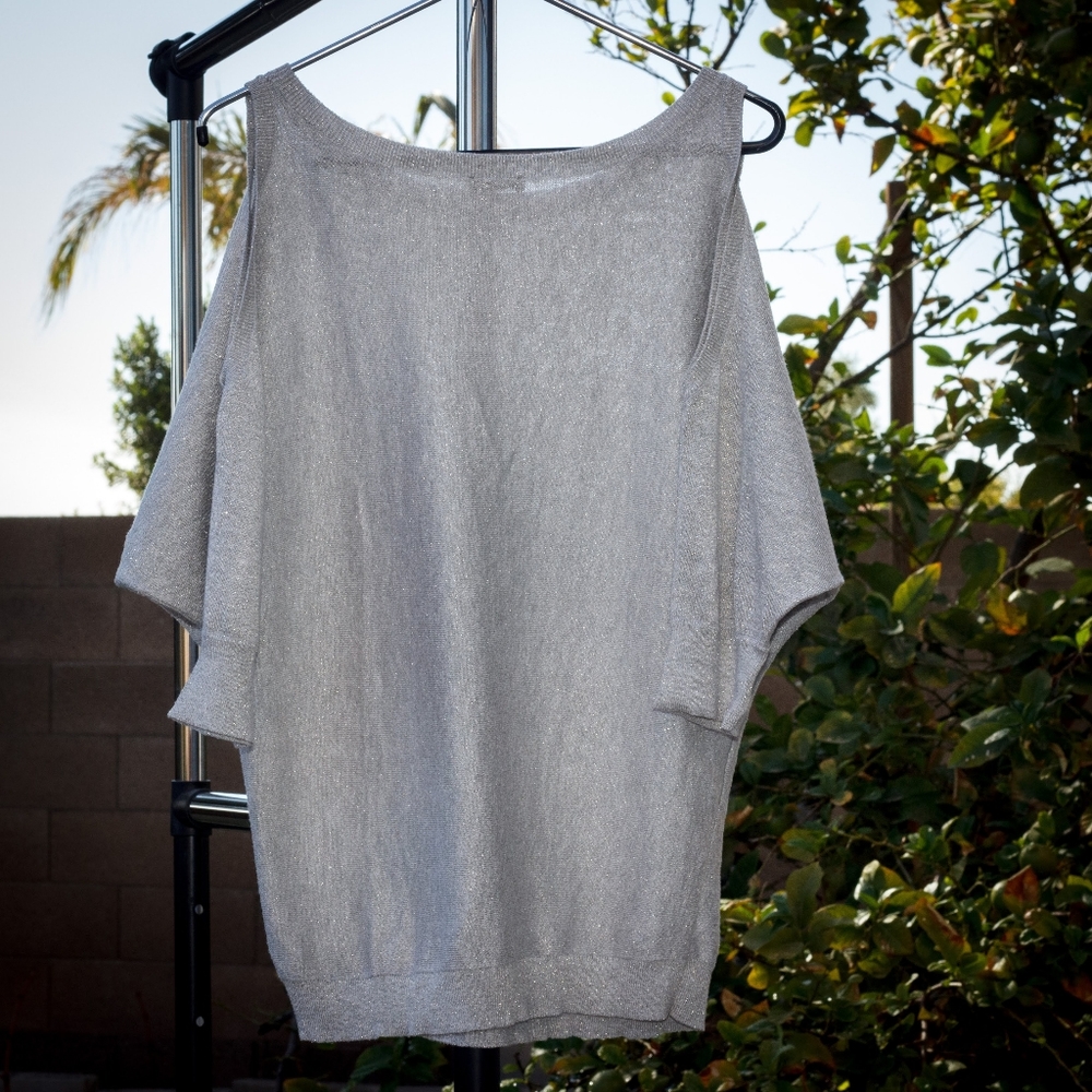 Express Silver Metallic Top